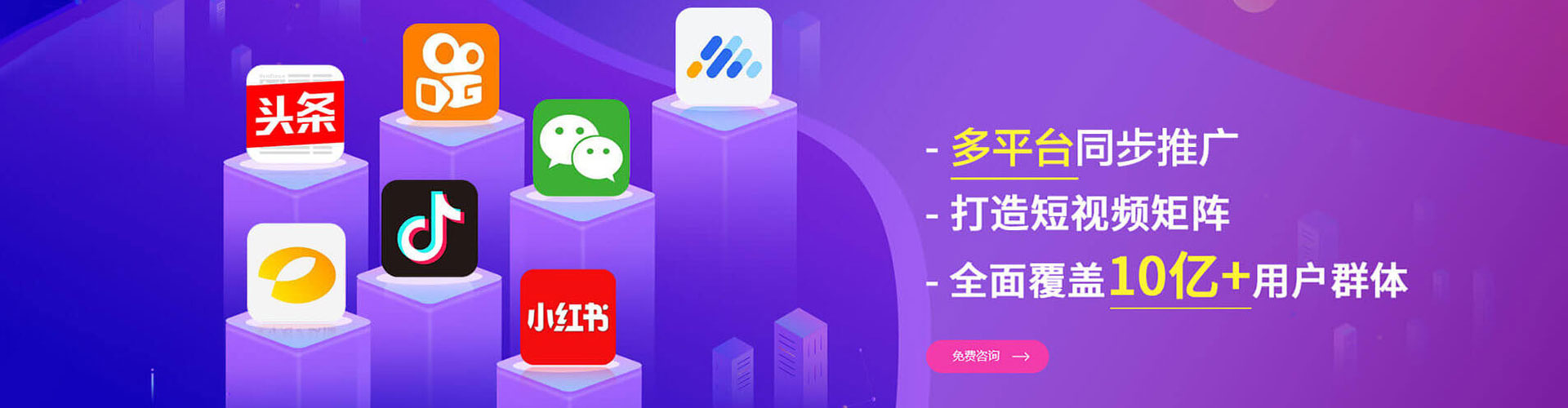 阳明谷歌sem